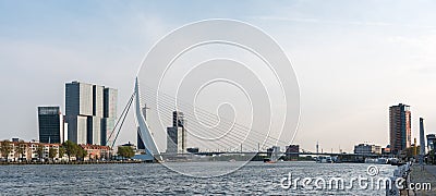 Erasmus bridge Rotterdam Editorial Stock Photo