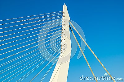 Erasmus Bridge, Rotterdam, Netherlands Editorial Stock Photo