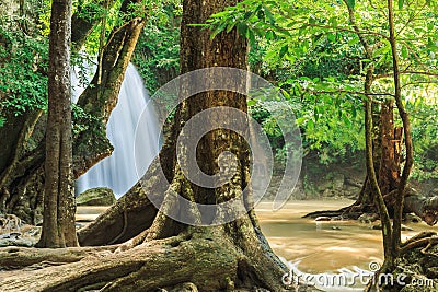 Erawan waterfall and tree in the rainy season Stock Photo