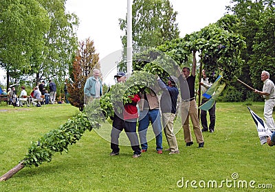 Erecting of the traditional midsummer pole Editorial Stock Photo