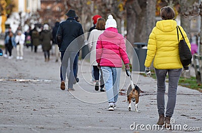 Outdoor recreation in the Salzkammergut during the lockdown in Austria Europe Editorial Stock Photo