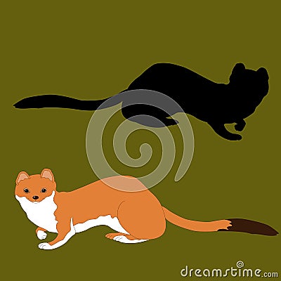 Ermine summer face realistic silhouette black Vector Illustration