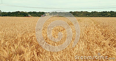 Erntemaschine-Funktion in The Field Draufsicht von der Brummen-Mähdrescher-landwirtschaftlichen Maschinen-Fahrt in stock video footage Erntemaschine-Funktion in The Field Draufsicht von der Brummen-Mähdrescher-landwirtschaftlichen Maschinen-Fahrt in stock video footage