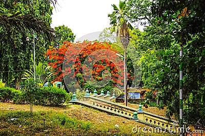 Erode park Stock Photo