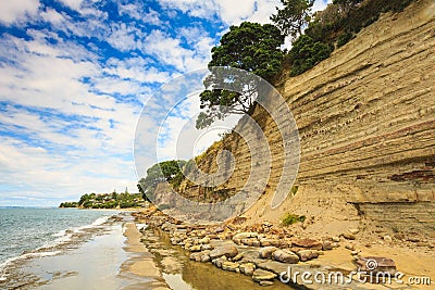 Eroding coastal sandstone cliff with rock layers, Mairangi Bay, NZ Stock Photo