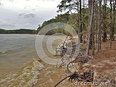 Eroding Shore at Jordan Lake Stock Photo