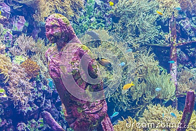 Eroding stone mermaid statue underwater, aquarium decoration, marine life background Stock Photo