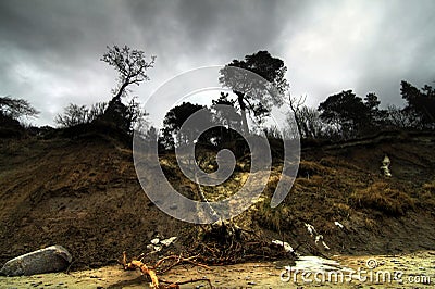 Erosion of Baltic coast after storms Stock Photo