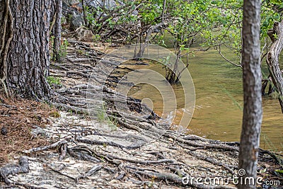 Erosion on the lake shoreline Stock Photo