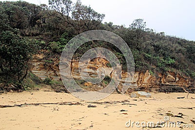 Erosion in Sandstone Cliff on Maitland Bay Beach Stock Photo