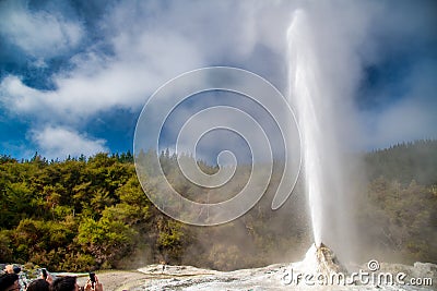 Erupting geysers in New Zealand Stock Photo