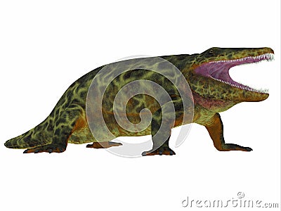 Eryops Dinosaur Side Profile Stock Photo