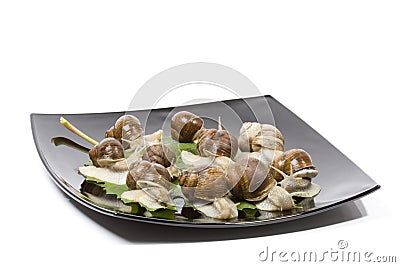 Escargots in a black plate Stock Photo