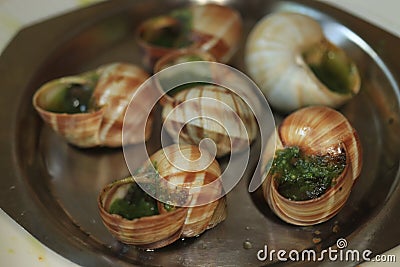 Escargots de Bourgogne Stock Photo