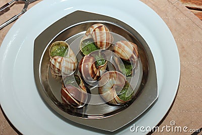 Escargots de Bourgogne Stock Photo