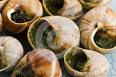 Escargots with garlic butter Stock Photo