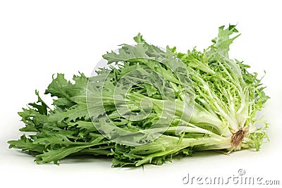 Escarole endive Stock Photo