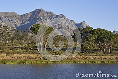 Landscape of Elandsberg Nature Reserve in the Western Cape, South Africa Stock Photo