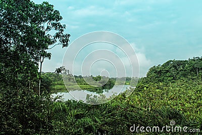 River scene in the amazonÃ­a of ecuador Stock Photo
