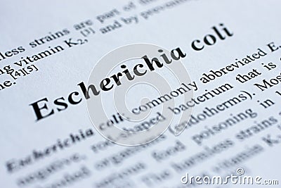 Escherichia coli Stock Photo