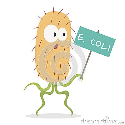 Escherichia Coli Cell Vector Cartoon Vector Illustration