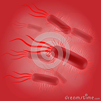 Escherichia coli virus Vector Illustration