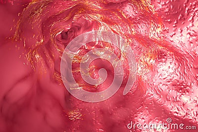 Esophagus mucosa and esophageal sphincter Cartoon Illustration