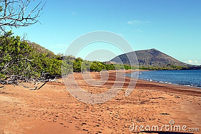 Espumilla beach with red ghost crabs, Santiago Island, Galapagos Stock Photo