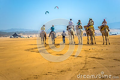 Several tourists ride horses and camels at the Moroccan seaside. Editorial Stock Photo