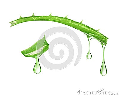 Essence flows from the stem of aloe vera on a white background Stock Photo