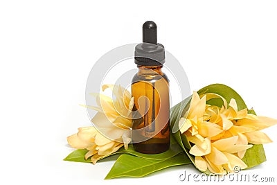 Essential aroma oil with champaka flower Stock Photo