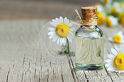 Essential camomile oil in glass bottle with fresh chamomile flowers, fragrant daisy oil, beauty treatment Stock Photo