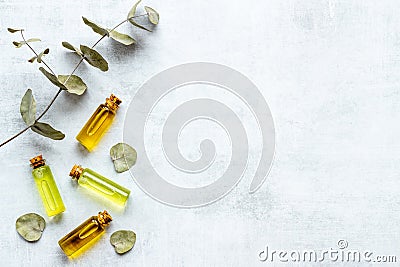 Essential eucalyptus oil in glass bottle. Herbs cosmetic and skincare product concept Stock Photo