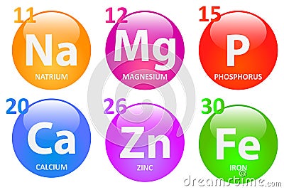 Essential Minerals Vector Illustration