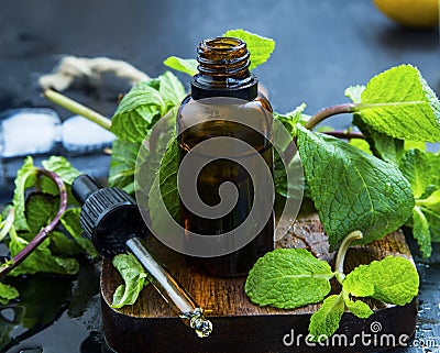 Essential mint oil in brown glass bottle with dropper, herbal me Stock Photo
