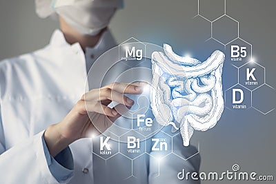 Set of main human organs with molecular grid, micronutrients and vitamins with doctor on blurry blue background. Intestine organ Stock Photo