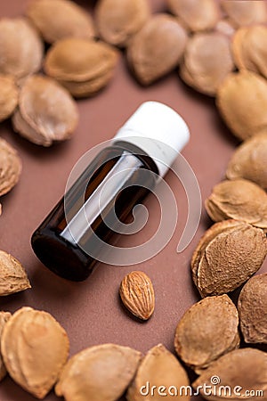 Essential oil bottle of apricot kernels in apricot kernels Stock Photo