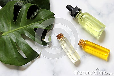 Essential oil bottle with fresh herbs. Massage oil for face and body. Relaxation Stock Photo