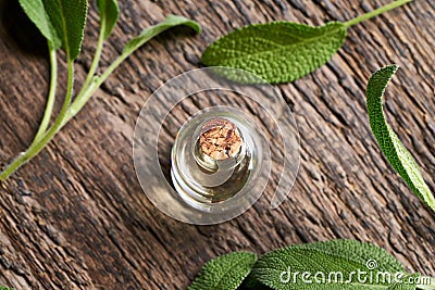 Essential oil bottle with fresh sage Stock Photo