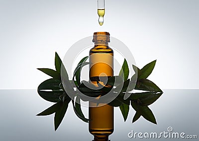 Essential oil bottle with myrtle leaves, in amber glass with dropper Stock Photo