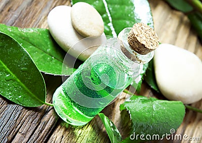 Essential Oil Bottle.Tea Tree Essence Stock Photo