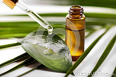 Essential oil dripping on the green leaf from pipette Stock Photo