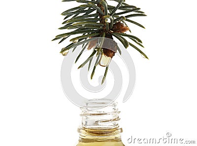 Essential oil dropping from pine branch into little bottle Stock Photo