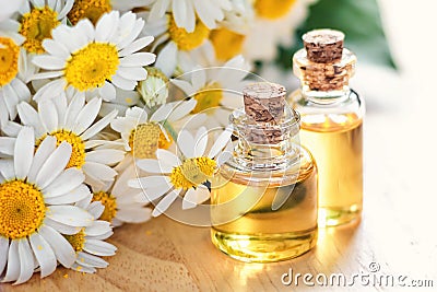 Essential oil in glass bottle with fresh chamomile flowers, beauty treatment. Spa concept. Selective focus. Stock Photo