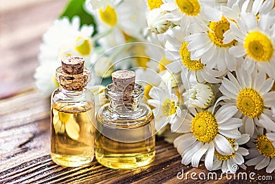 Essential oil in glass bottle with fresh chamomile flowers, beauty treatment. Spa concept. Selective focus. Fragrant oil of chamom Stock Photo