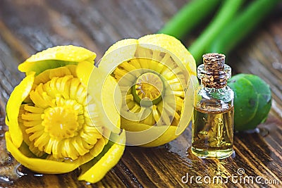 Essential oil in glass bottle with fresh flowers of Nuphar lutea, Yellow Water-lily, Brandy-Bottle-beauty treatment. Spa concept. Stock Photo
