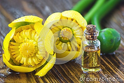 Essential oil in glass bottle with fresh flowers of Nuphar lutea, Yellow Water-lily, Brandy-Bottle-beauty treatment. Spa concept. Stock Photo
