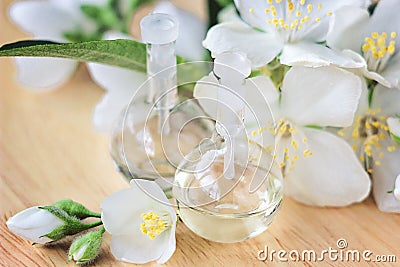 Essential oil in glass bottle with fresh jasmine flowers, beauty treatment. Spa concept Selective focus. Fragrant oil of jasmine f Stock Photo