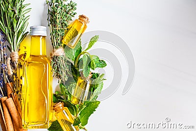 Essential oil in glass bottles. Thyme, mint, rosemary and lavender essential oils, top view Stock Photo