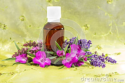 Essential oil with lavender and sidalcea Stock Photo